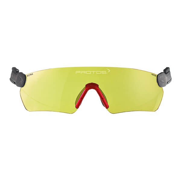 PROTOS® Integral Schutzbrille