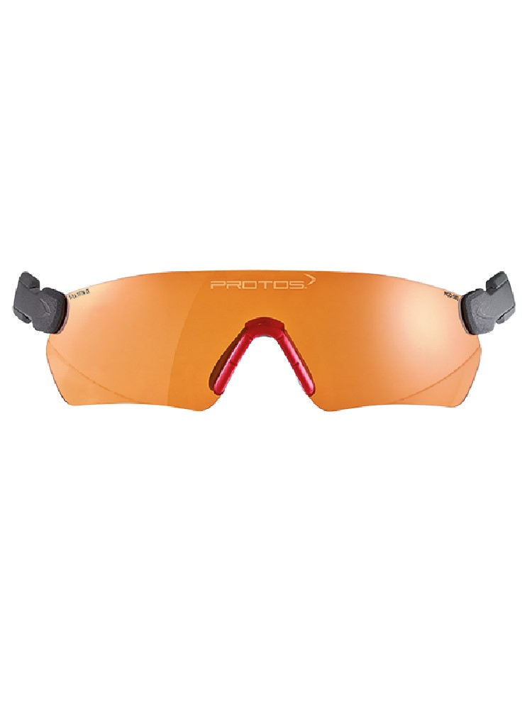 PROTOS® Integral Schutzbrille