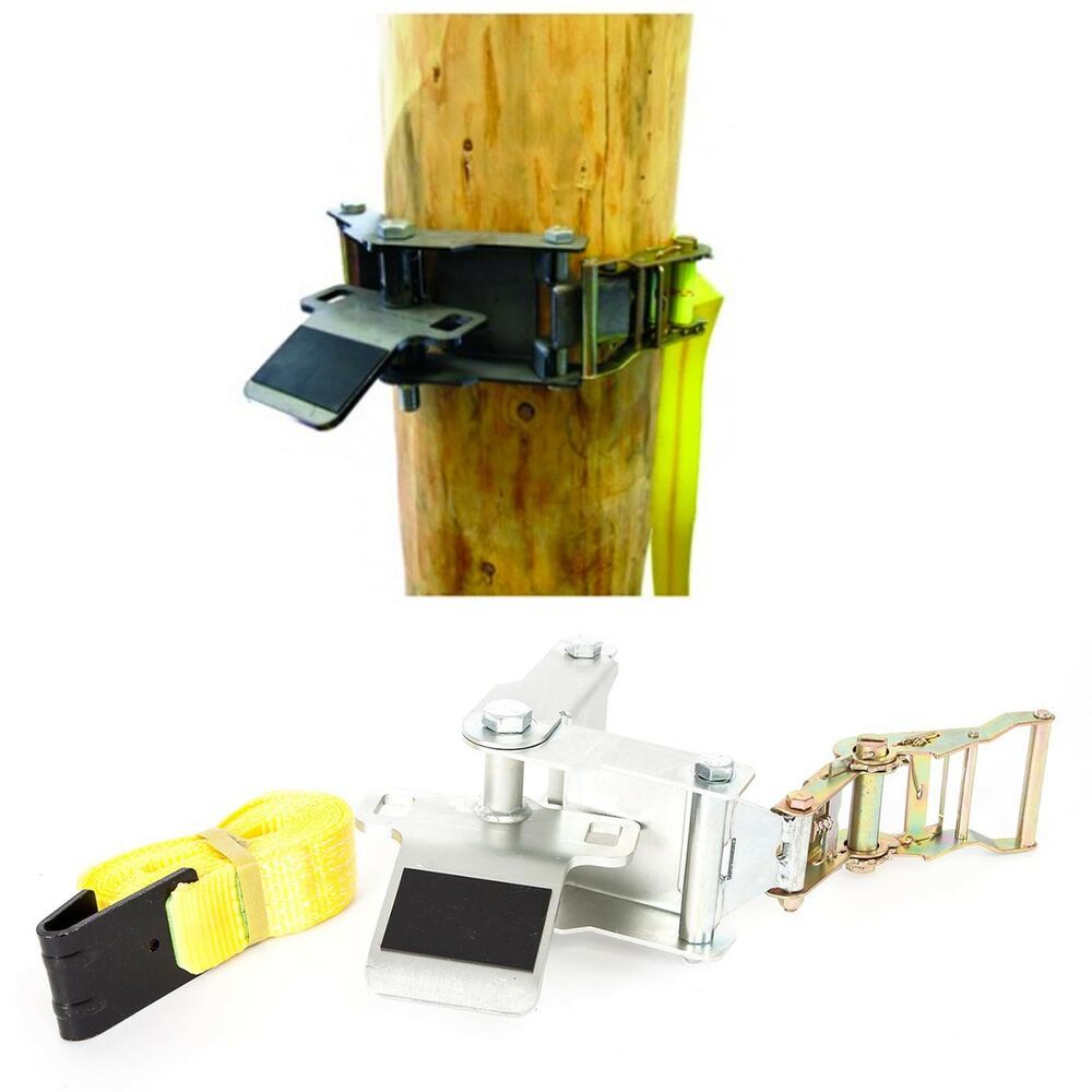 Portable Winch Baumhalteplatte mit Ratschengurt