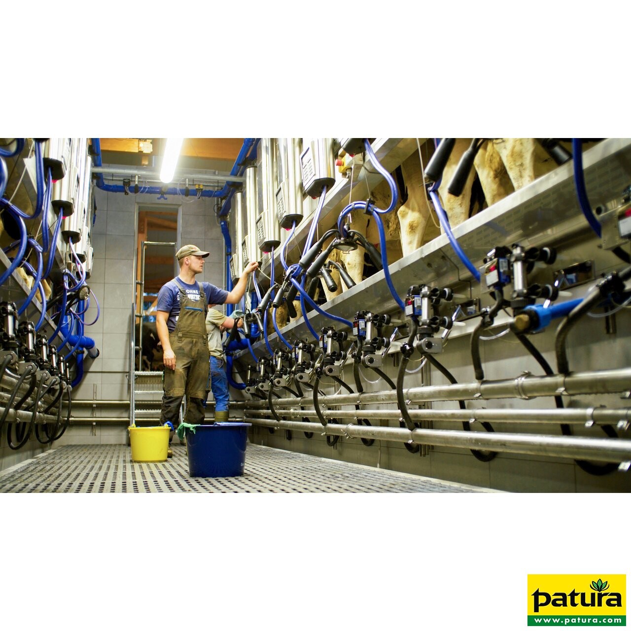 Patura LED-Feuchtraumleuchte Premium-Line